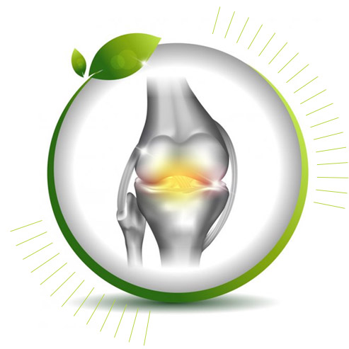 Feel Good Knees Benefits