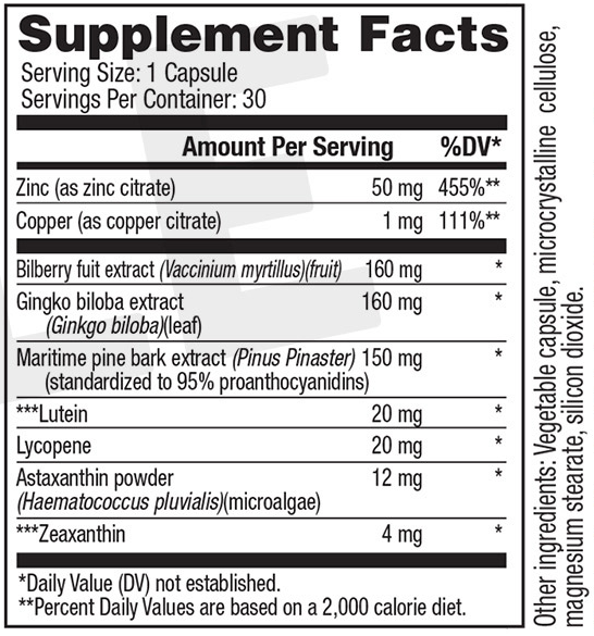Vision 20 Supplement