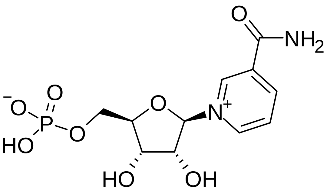 β-nicotinamide mononucleotide